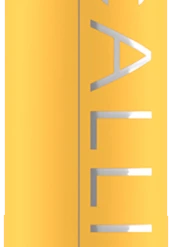 Catrice Calligraph Artist Matte Liner 040